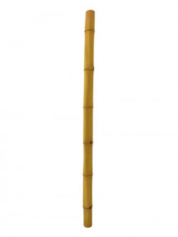 Bambusrohr Ø=8cm, 200cm
