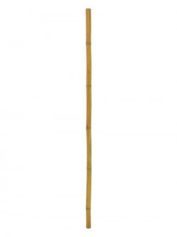 Bambusrohr, Ø=5cm, 200cm