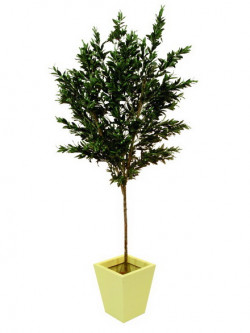 Olivenbaum mit Oliven 250cm, Kunstpflanze